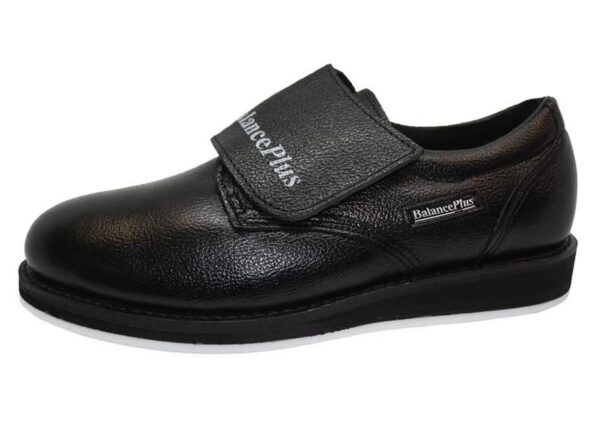 BalancePlus Deluxe - Image 4